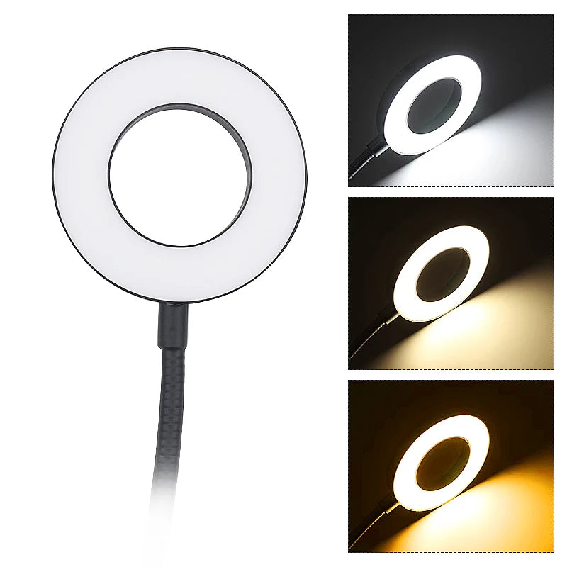 Lampe à cils lumière LED froide chaude bicolore lumière spéciale Salon de beauté